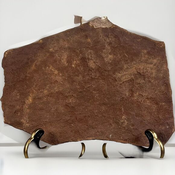 Keeyahzi Signed Native American Etched / 7.25 x 6” Carved Slate Bear/ Claws 2013 - Picture 2 of 6